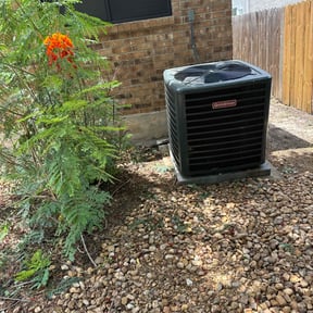 Bush Trimming by Cardinal Curb Appeal reviewed on June 2, 2022