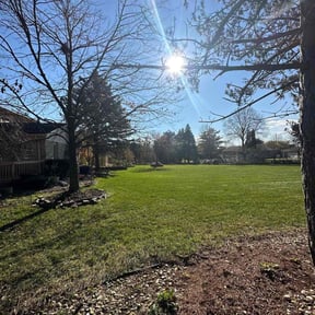 Leaf Removal by Precise Cut Lawn Care reviewed on June 20, 2022
