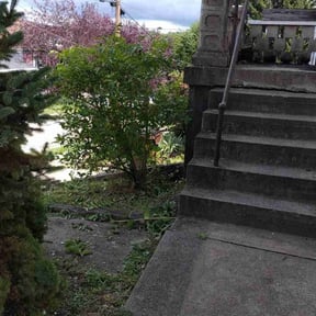 Bush Trimming by Z & H Landscaping reviewed on March 29, 2022
