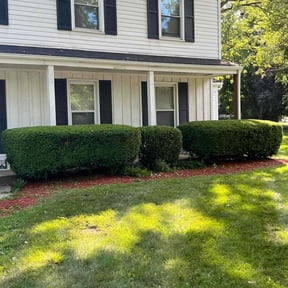 Bush Trimming by Lagger Properties reviewed on October 24, 2022