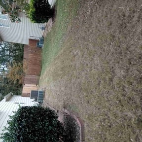 Leaf Removal by Hammond lawncare reviewed on October 5, 2024