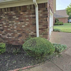 Bush Trimming by Macs LawnCare reviewed on May 12, 2022