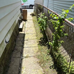 Cleanups by LawnGoals reviewed on June 25, 2020