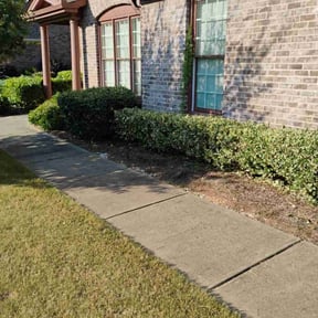 Bush Trimming by Use more services reviewed on July 24, 2022