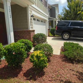 Bush Trimming by EMP Lawn Services, LLC reviewed on July 25, 2022