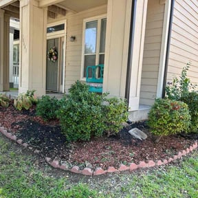 Flower Bed Weeding by LSLTDallas/FortWorthTruGreen reviewed on April 4, 2025
