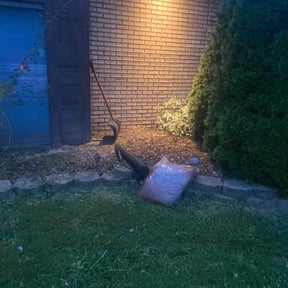 Weeding by Allen's Lawn Care reviewed on June 20, 2024