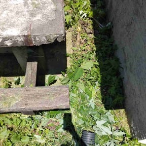 Cleanups by Kingsmen Landscaping reviewed on June 28, 2025