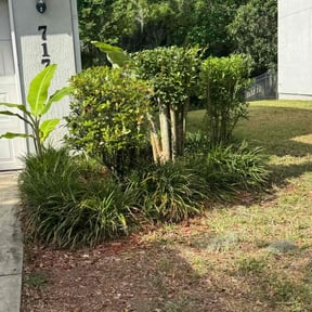 Bush Trimming by Tjs Luxury Lawnservice reviewed on May 13, 2022