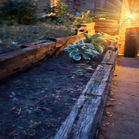 Weed Pulling by Arts Landscaping & Maintenance reviewed on July 20, 2022