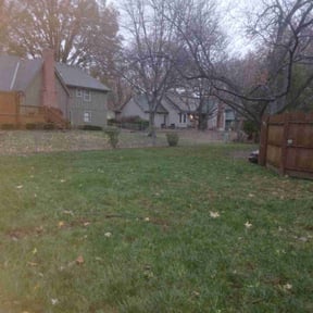 Leaf Removal by Joe Jackson Signature Homes reviewed on June 3, 2022