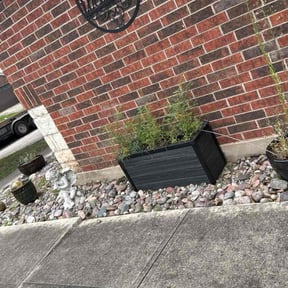 Flower Bed Weeding by pnp concrete reviewed on July 30, 2022