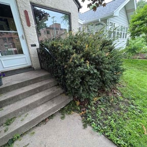 Bush Trimming by Skillz all lawn care services reviewed on March 13, 2023