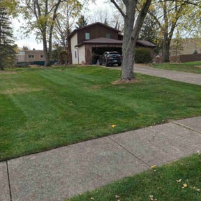 Leaf Removal by Sharp Cutz LLC reviewed on August 5, 2022