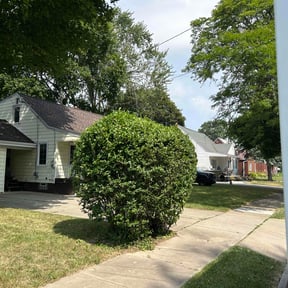 Bush Trimming by Elias Landscaping reviewed on July 21, 2025