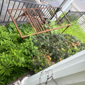 Bush Trimming by Shorty's Lawn Services reviewed on December 30, 2021