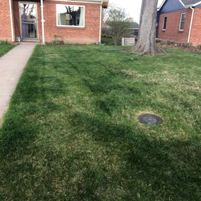 Cleanups by Cleancut Landscaping reviewed on April 27, 2025