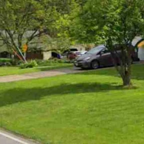 Flower Bed Weeding by Solid Ground Landscaping reviewed on April 26, 2022