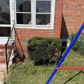 Bush Trimming by Quality Pro. Construction reviewed on May 11, 2022