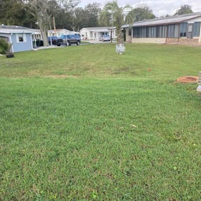 Cleanups by WhaleyScapes lawn services reviewed on October 15, 2020