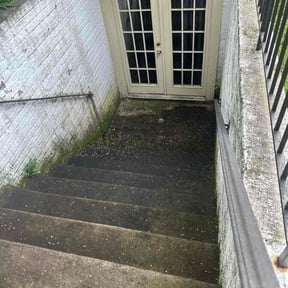 Leaf Removal by LSLTDallas/FortWorthTruGreen reviewed on June 26, 2025