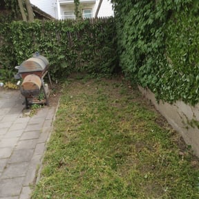 Leaf Removal by Gordon Cleaning&Lawncare reviewed on May 6, 2022