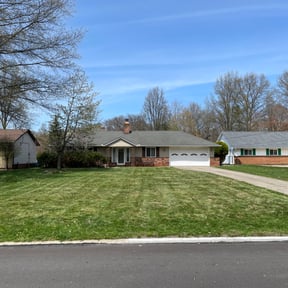 Leaf Removal by A and L lawn Care Professionals reviewed on May 19, 2022