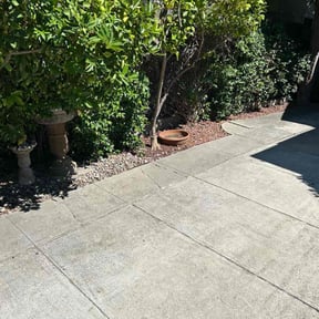 Cleanups by Aee handymany services reviewed on November 30, 2024