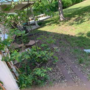 Leaf Removal by EZe quality scapes reviewed on February 10, 2025