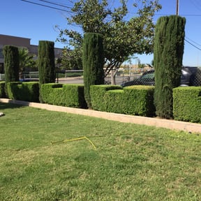Bush Trimming by GRASSMASTERZ-COM reviewed on October 18, 2024