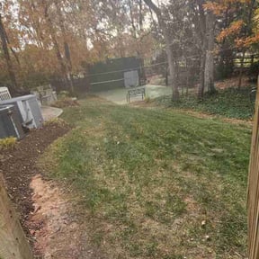 Leaf Removal by Sgp Lawn services reviewed on June 17, 2022