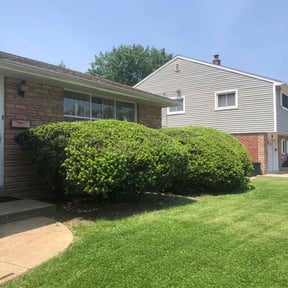 Bush Trimming by I4-75-95 connections LLC reviewed on July 22, 2022