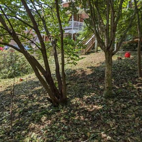 Cleanups by Electric Cut Lawn Care LLC reviewed on May 1, 2025
