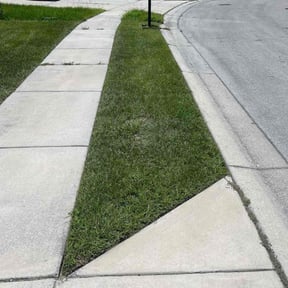 Lawn Seeding by A&J Clean Cut Lawn Care LLC reviewed on July 21, 2022