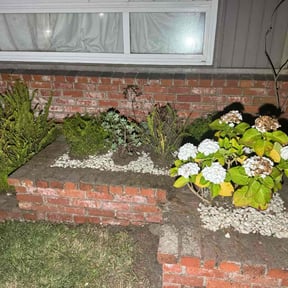 Flower Bed Weeding by Greens Landscaping LLC reviewed on June 23, 2022
