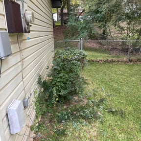 Bush Trimming by KLG LAWN Service reviewed on June 10, 2020