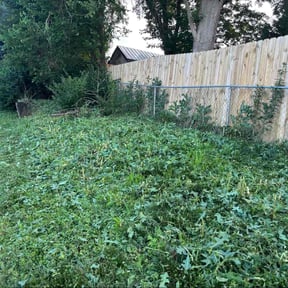 Weeding by Tim&#039;s Discount Lawn reviewed on June 12, 2025