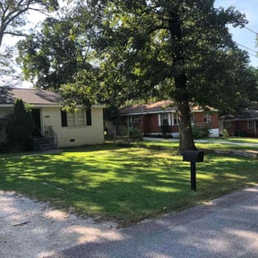 Cleanups by All Pro Landscaping Services reviewed on May 21, 2022