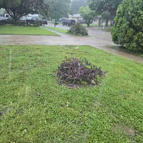 Bush Trimming by Roscoe&amp;Jaee&#039;s &quot;You Name It We Do It Family lawn service&quot; reviewed on May 11, 2025