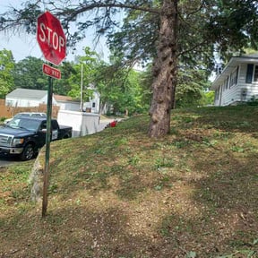 Flower Bed Weeding by Kevin Christopher reviewed on July 29, 2022