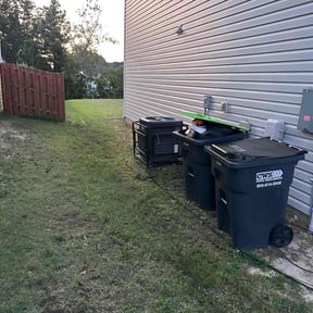 Lawn Seeding by Stunnin Greens reviewed on June 6, 2022