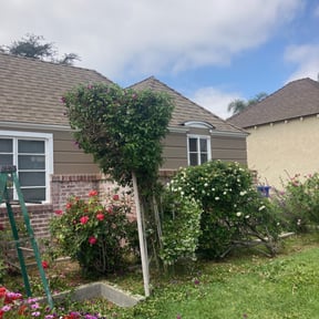 Bush Trimming by Gonzales Lawn Care reviewed on July 24, 2022