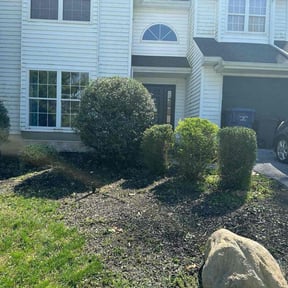 Bush Trimming by Tri J lawn care services reviewed on May 9, 2022