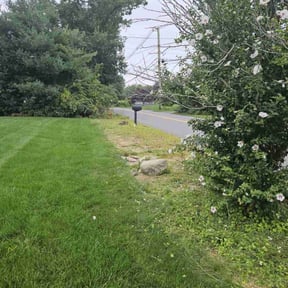Flower Bed Weeding by Greens Lawn Care service reviewed on May 20, 2022