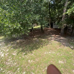 Leaf Removal by Jax Lawn & Maintenance Services reviewed on June 21, 2025