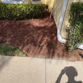 Flower Bed Weeding by GC Lawn Care & Landscaping Services reviewed on June 12, 2025