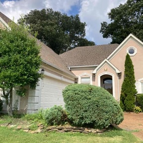 Bush Trimming by Top Turf L.L.C reviewed on September 4, 2020