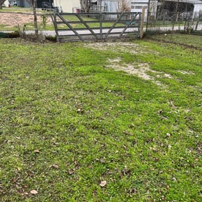 Leaf Removal by Antonio Villasenor reviewed on September 18, 2024