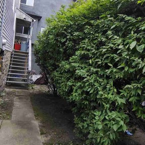 Bush Trimming by Jaman mowers reviewed on June 30, 2022