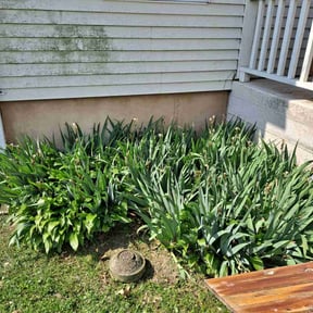 Flower Bed Weeding by St Charles Services reviewed on November 1, 2024